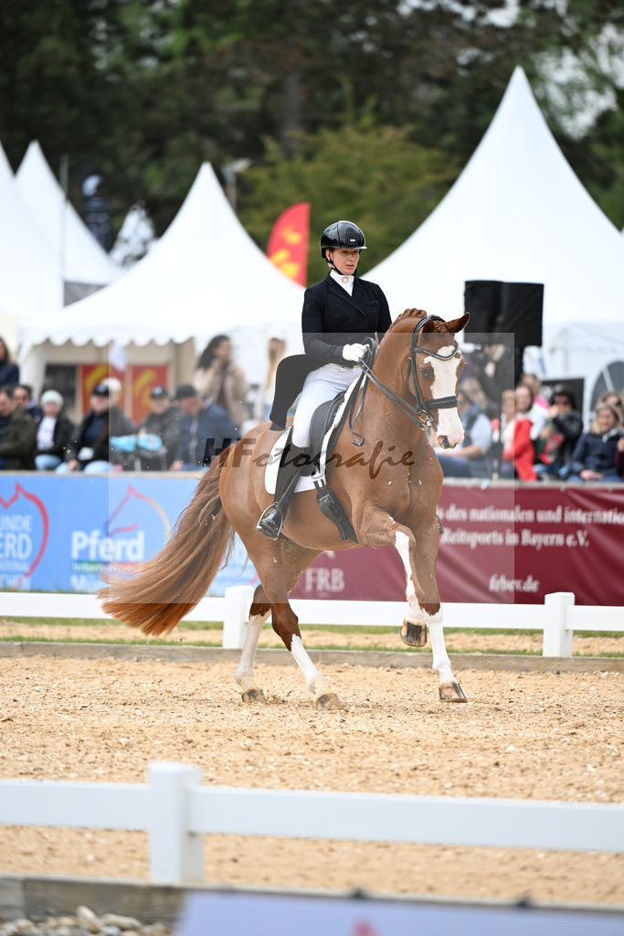 Harsdorf_Daydream d_Arion_11251112 | hf-fotografie - Realisiert mit Pictrs.com