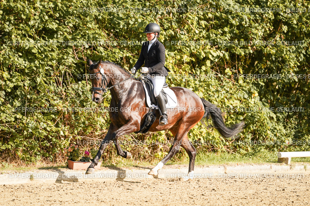 DSC05486 | Pferdegrafie