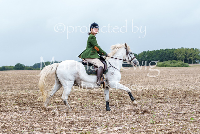 Jagd Perdoel 26 Sony-03353_MarinaHewig | Fotografie, FotoArt, PferdesportArt, Pferdesportfotografie, Landschaftsfotografie, Reisefotografie, Reise, Pferde - Realisiert mit Pictrs.com