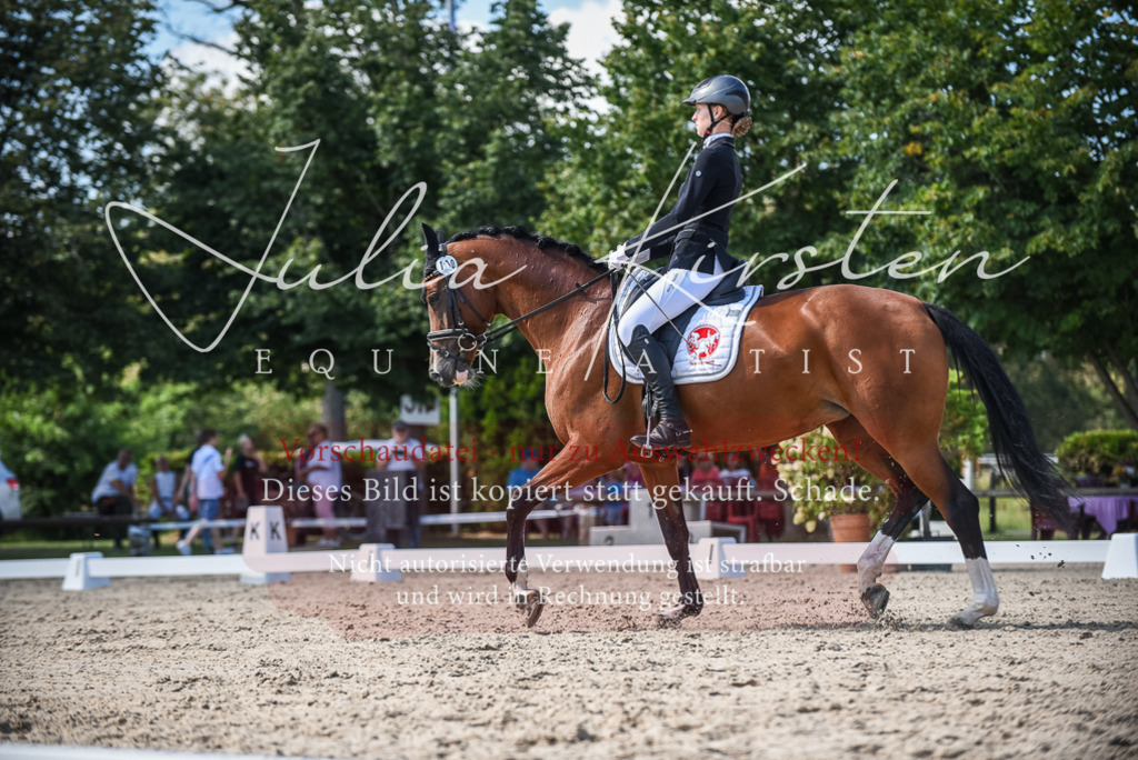 DSC_9482 | Pferde- und Turnierfotografie in Westsachsen. Pferdeportraits, Auftragszeichnungen und intuitive Kunst.