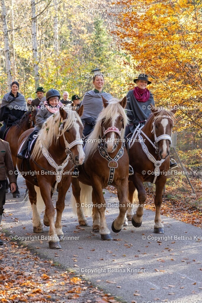 LL24-307 | foto-bettina-krinner - Realisiert mit Pictrs.com