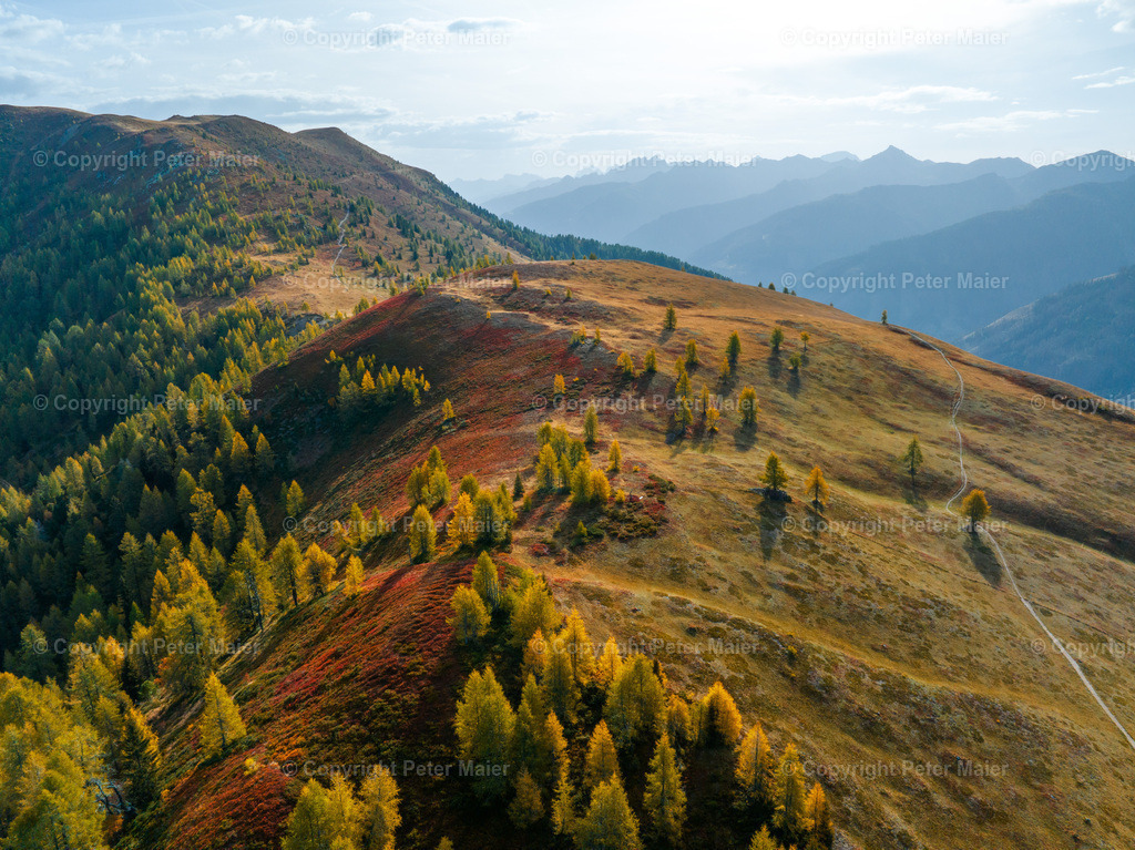 Golzentipp_Osttirol_Herbst_23_Peter_Maier-30 | default