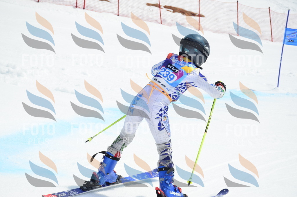 _ELE1726 | holidayphoto