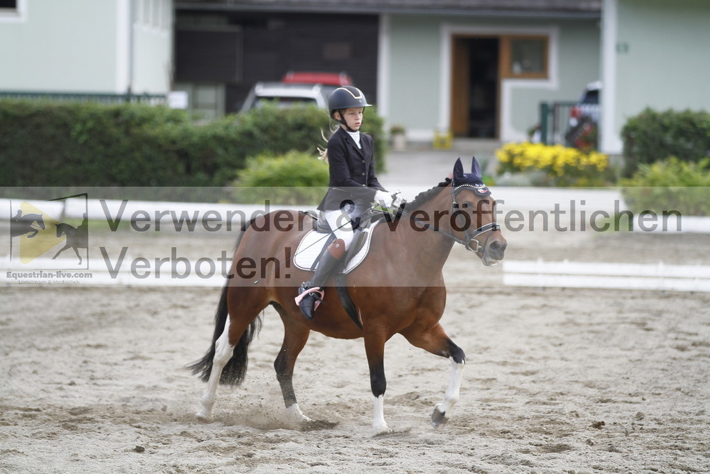 _MG_1143 | equestrian-live-com