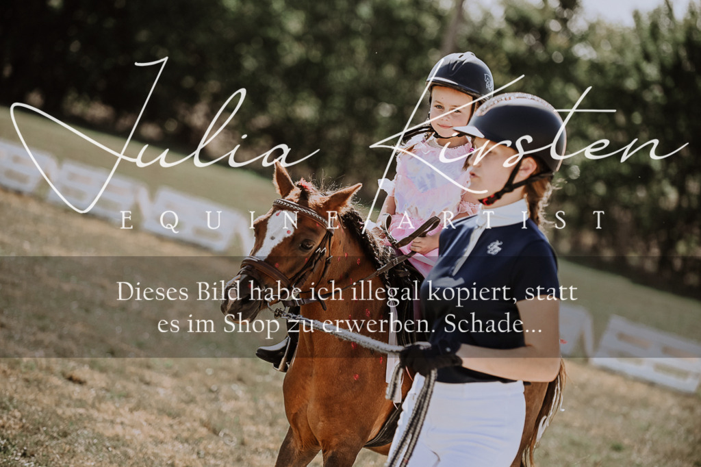 DSC_9058 | Pferde- und Turnierfotografie in Westsachsen. Pferdeportraits, Auftragszeichnungen und intuitive Kunst.