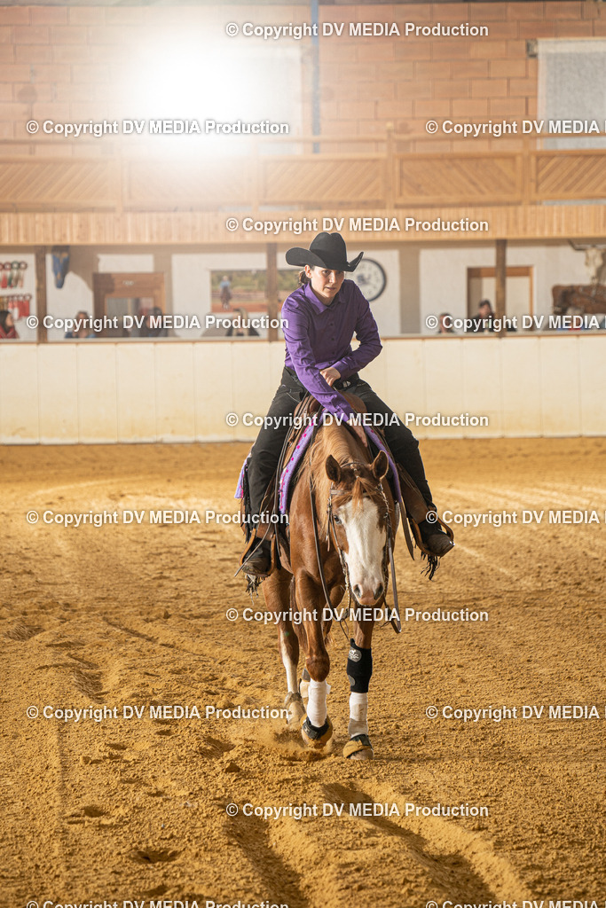 MIT00455 | dv-media-shop - Realisiert mit Pictrs.com