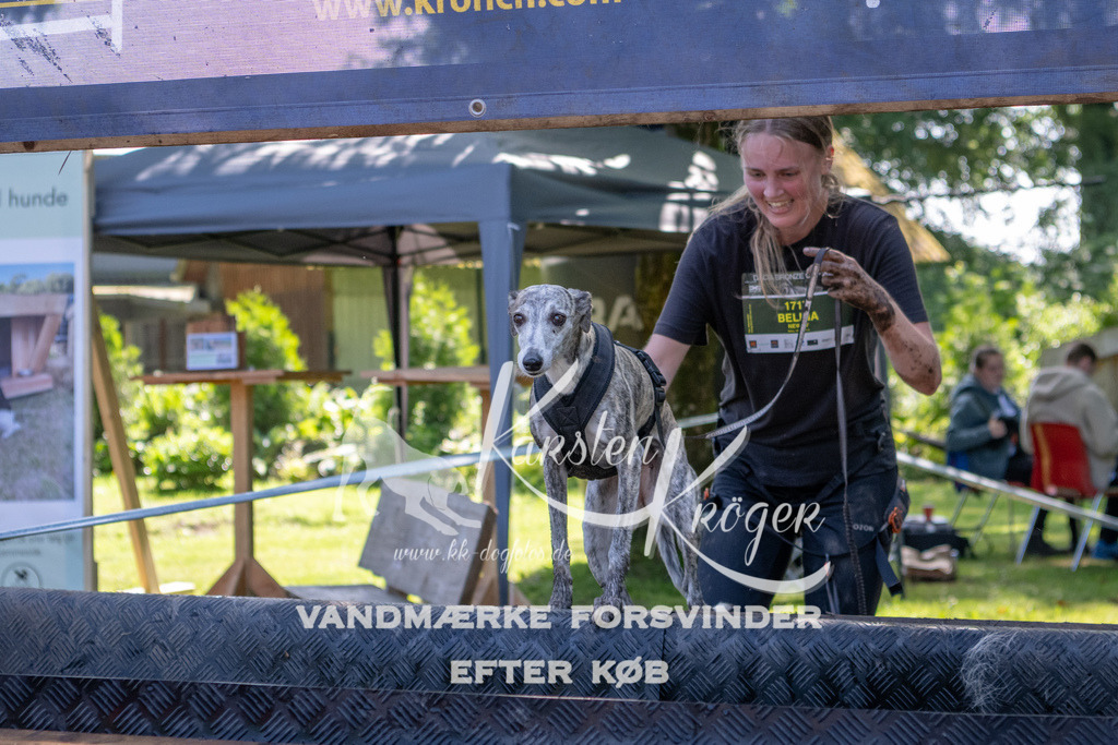 1500_ZZ94645 | kk-dogfotos