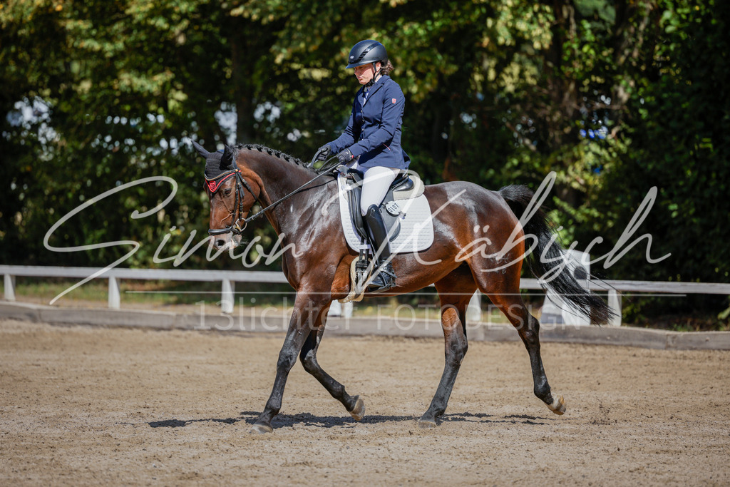 20250906-_3LI4369 | Tierfotografie Pferde, Hunde, Katzen, Haustiere.
Turnierfotografie Reitturniere, Reiten, Springreiten, Dressur in Hanau, dem Main-Kinzig-Kreis und dem Rhein-Main- Gebiet um Frankfurt