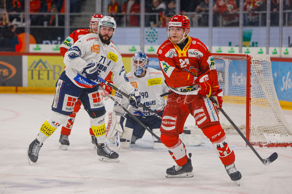 EHCB vs HCAP 20260115_wb-4750 | Sportbilder, Sportfotograf, Hochzeits- und Eventfotografin, Flugshows, Portraits und Tiershooting, Aviation, Downhill, Nationalleague, Swissleague, International