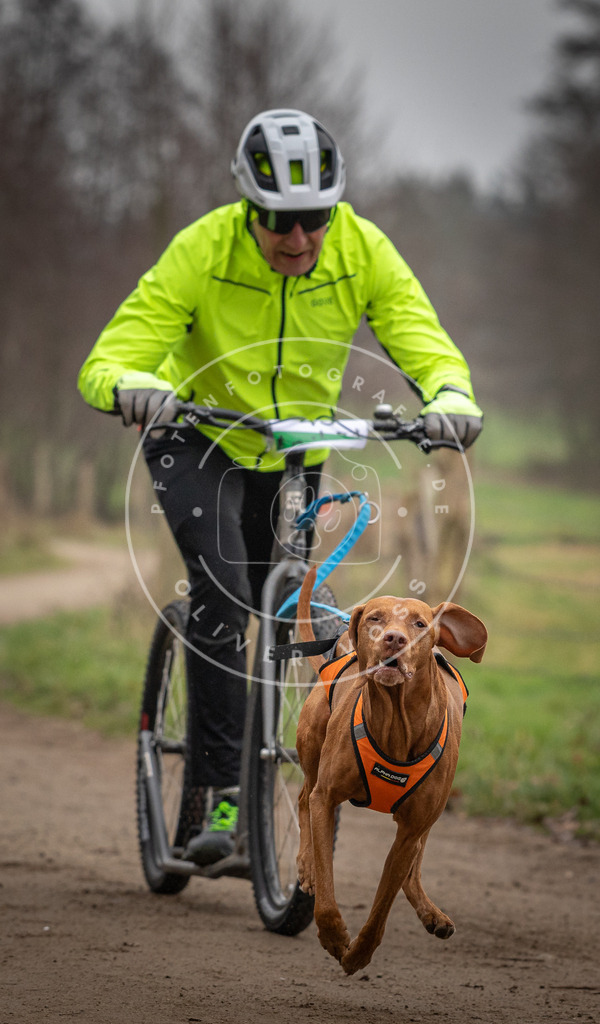 Pfotenfotografie_DV3A2660 | Hundefotografie, Tierfotograf, Pfotenfotografie, Fotoshooting Hund, Hunde Portrait, Hundesport, Hundeportraits, Heideshooting, Hunde, Sportfotograf, Hundefotograf, Turnierhundsport, THS,  - Realisiert mit Pictrs.com