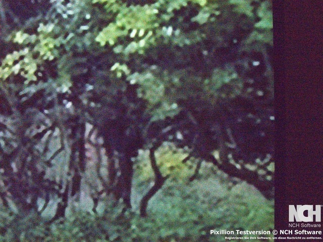 P1190215 | Verkauf von Fotos und  Videoclips zumThema Natur.Motive sind Pflanzen, Tiere, Landschaftenund Wetter - Realisiert mit Pictrs.com