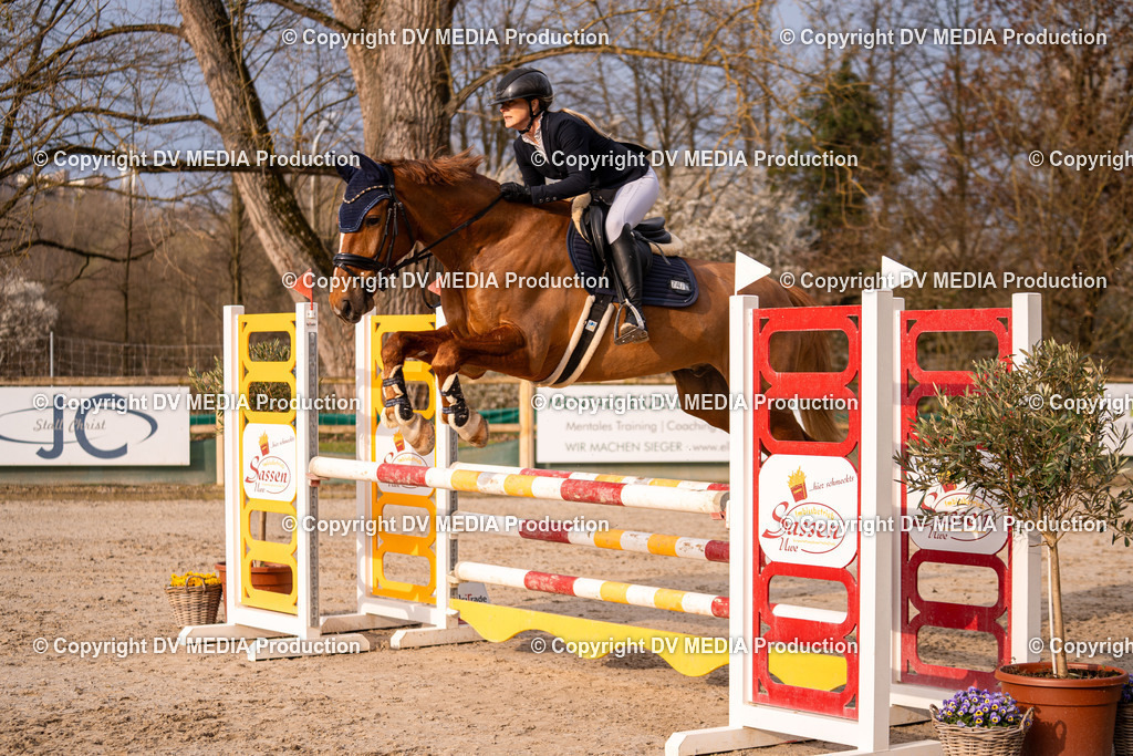 Kranichstein Tag 2-1419 | dv-media-shop - Realisiert mit Pictrs.com