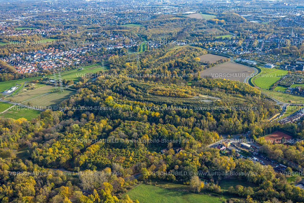 Gelsenkirchen221101930suedlich | Luftbild, Halde Röhlinghausen, Herbstwald, Günnigfeld, Bochum, Ruhrgebiet, Nordrhein-Westfalen, Deutschland
