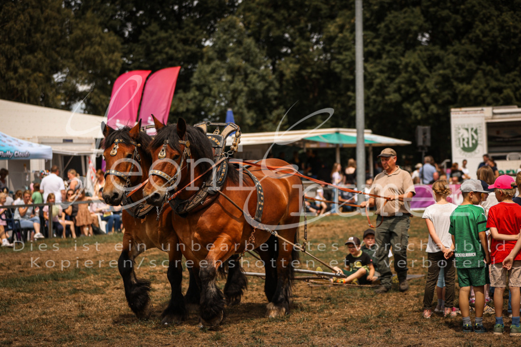 SoShow00248 | Leoni Ertmer Photography - Realisiert mit Pictrs.com