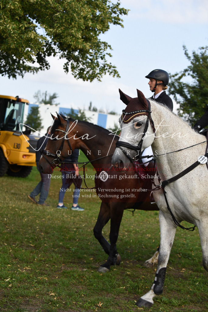 DSC_8575 | Pferde- und Turnierfotografie in Westsachsen. Pferdeportraits, Auftragszeichnungen und intuitive Kunst.