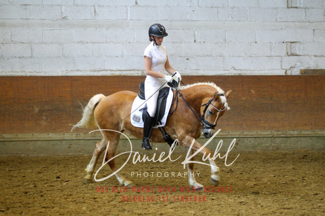 DKP44284 | Turniersportfotografie; Pferdefotografie; Dressurfotografie