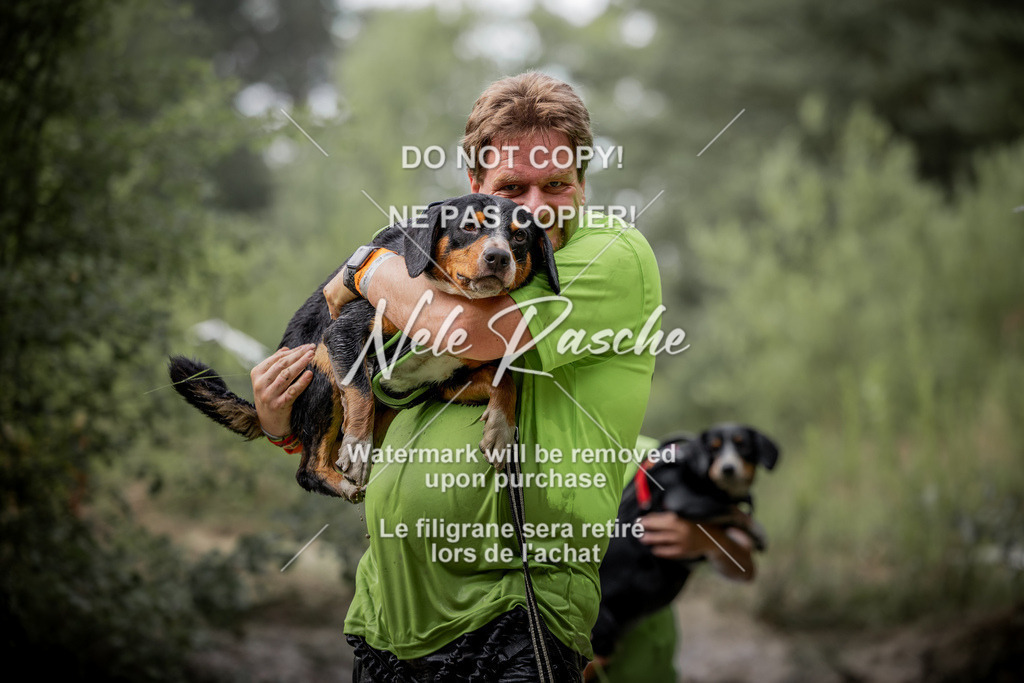 nelerasche_so0800-0930_158 | nelerasche