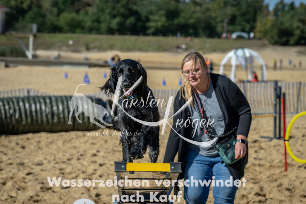 1255_ZZ93736-2 | kk-dogfotos