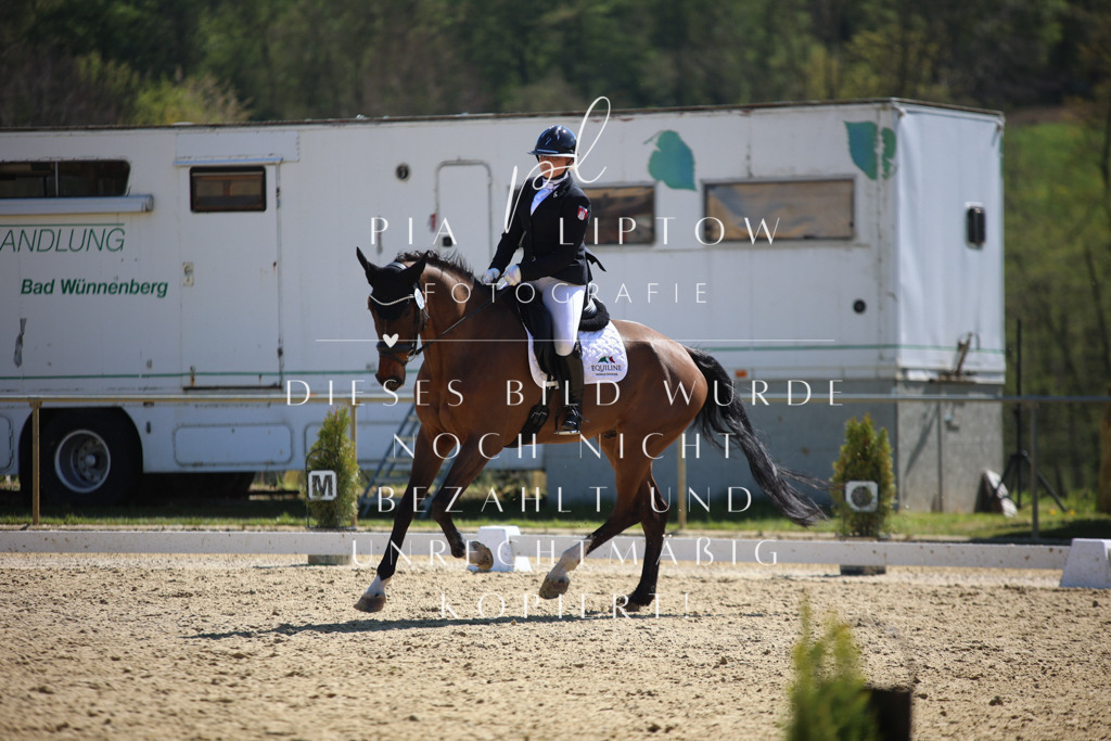 IMGT1386 | pl-fotografie