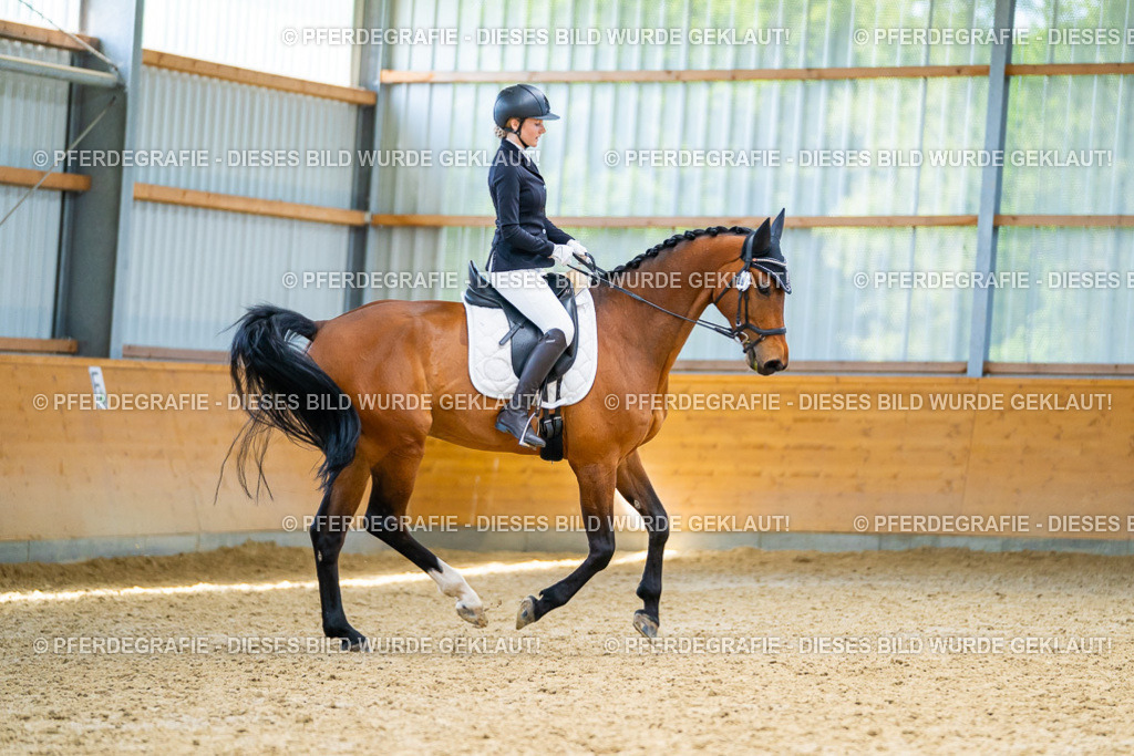 DSC09234 | Pferdegrafie