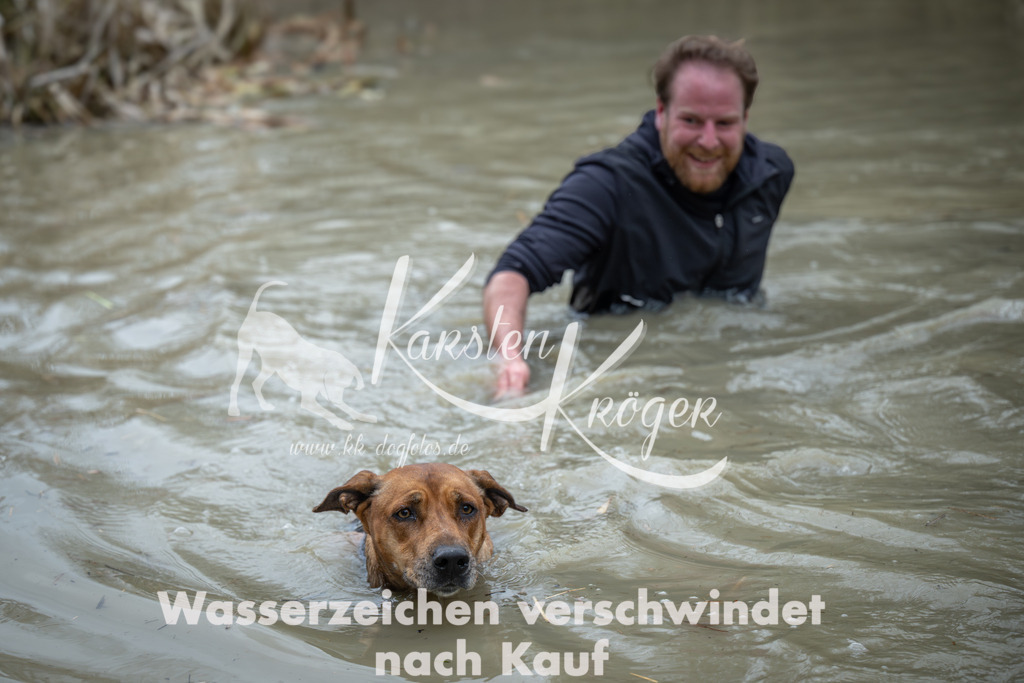 1644_ZZ96298 | kk-dogfotos