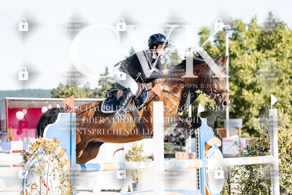 CK904288 | Turnierfotografie Pferdefotografie Trier Rheinland-Pfalz Pferdesport Reitsport Tierfotografie Sportfotografie Pferdevideo Pferdevideografie Equestrianvideography equestrianphotography  - Realisiert mit Pictrs.com
