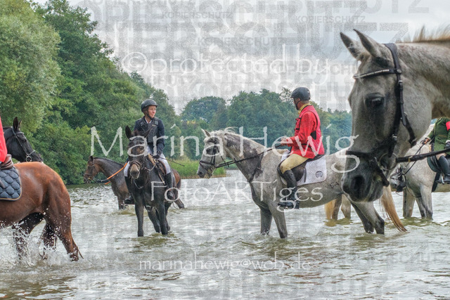 Jagd Perdoel_MarinaHewigDSCF3623 | Fotografie, FotoArt, PferdesportArt, Pferdesportfotografie, Landschaftsfotografie, Reisefotografie, Reise, Pferde - Realisiert mit Pictrs.com