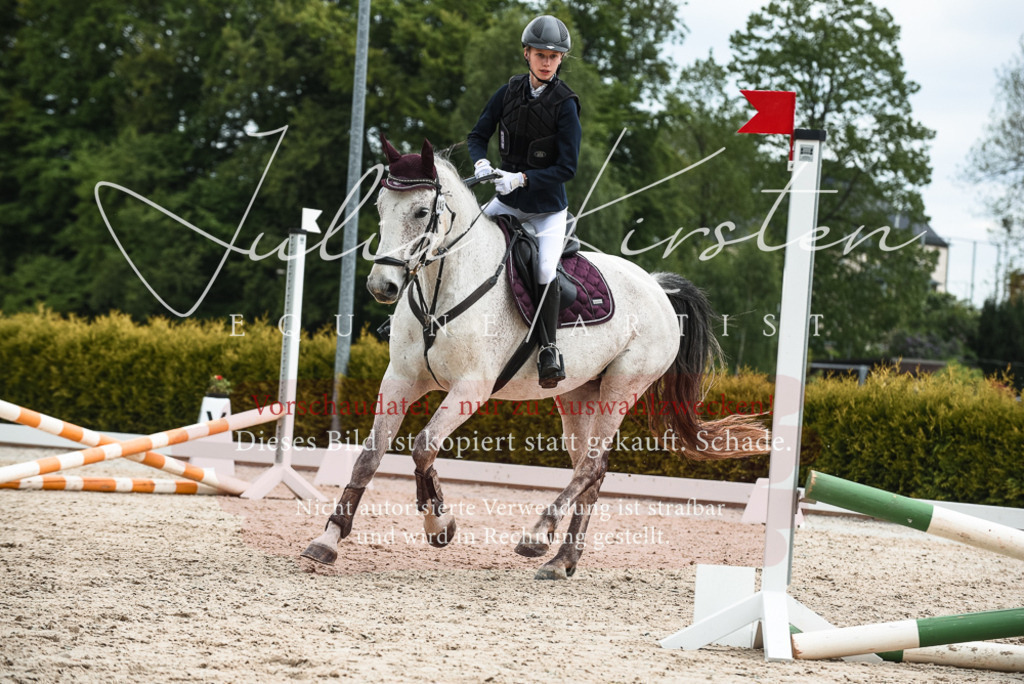 20230518_JK-Röhrsdorf-10-562 | Pferde- und Turnierfotografie in Westsachsen. Pferdeportraits, Auftragszeichnungen und intuitive Kunst.