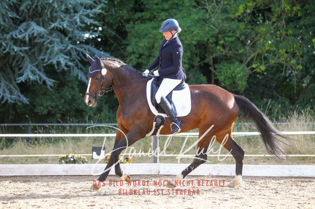 DKP45476 | Turniersportfotografie; Pferdefotografie; Dressurfotografie