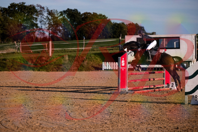 2026_10_03_Siefer-Hof_171851_Z81_16668606 | Professionelle Reitsport-, Turnier- und Eventfotografie von Robert Broda. Galerien mit ausgewählten und bearbeiteten Bildern direkt online ansehen und bestellen.
