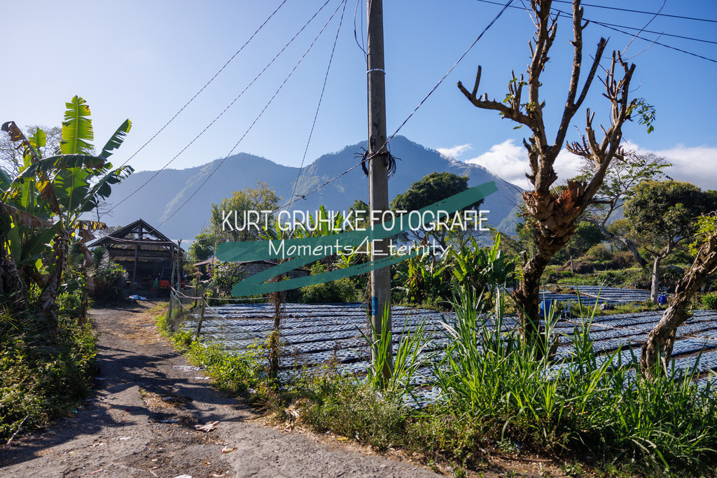 230719-1094 - Kopie | onlinegalerie und Fotoshop Kurt Gruhlke Fotograf Berlin
Hochzeitsfotograf Eventfotograf Portraitfotografie
 - Realisiert mit Pictrs.com