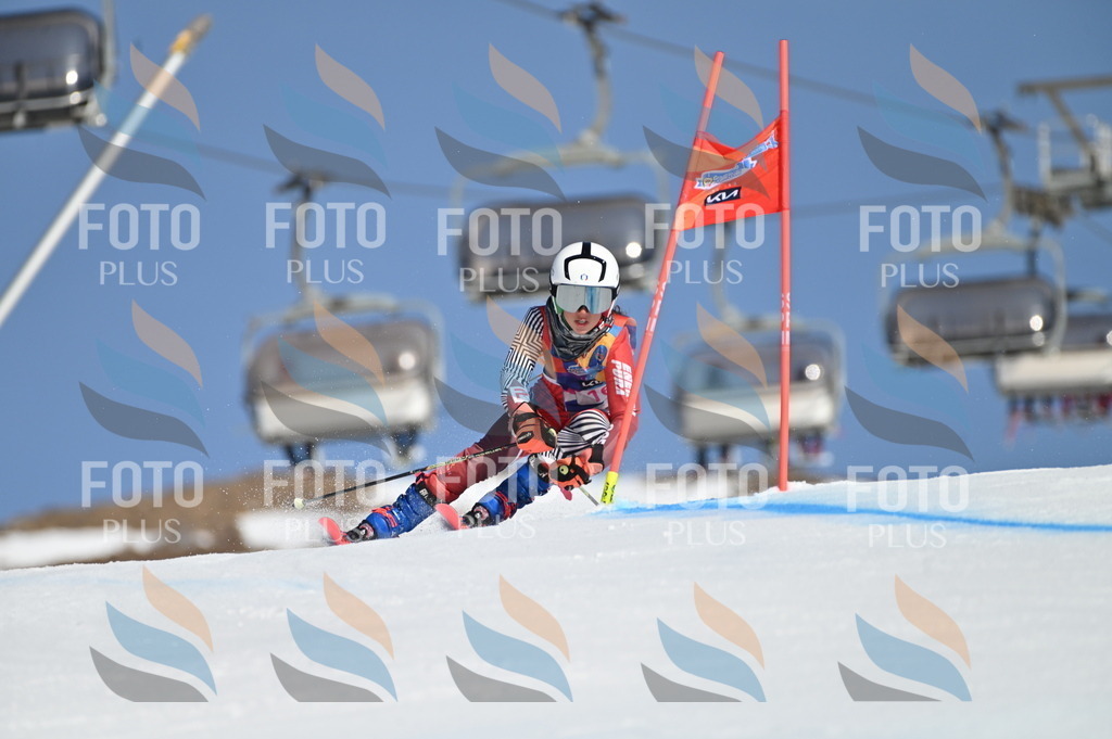 BGV_7863 | holidayphoto