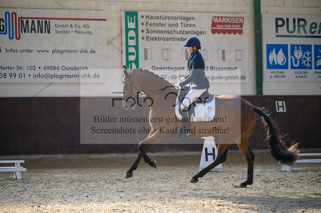 Reitturnier Voxtrup | Entdecke hochwertige Reitturnierfotos von Foto Oger. Professionell, emotional und authentisch – jetzt Lieblingsmomente im Shop bestellen.Deutschlandweite Turnierfotografie. - Realisiert mit Pictrs.com