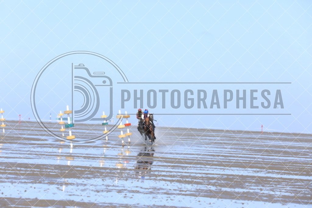 IMG_8889 | photographesa-joergens - Realisiert mit Pictrs.com
