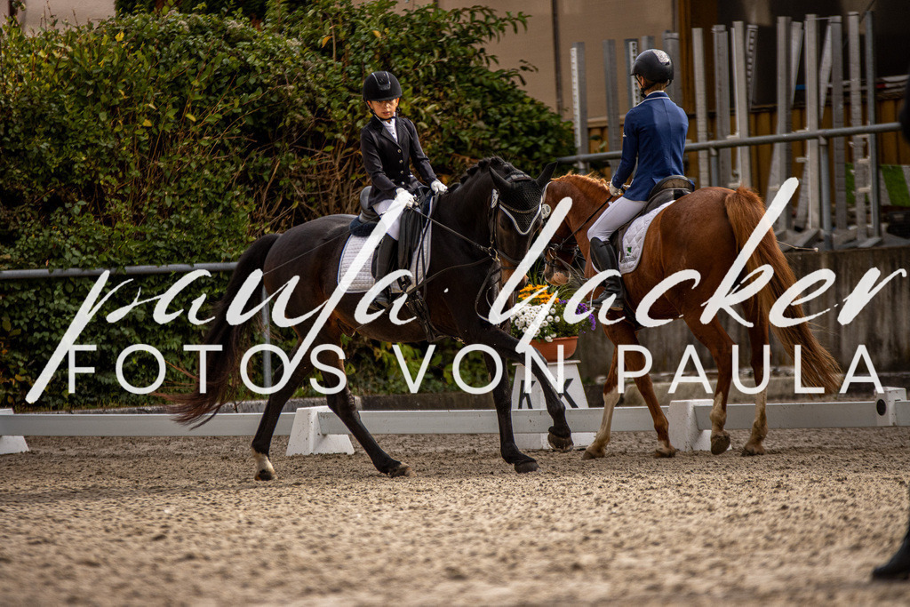 IMG_3776 | Erleben Sie dynamische Sport- und emotionale Tierfotografie in Süddeutschland mit Fotos von Paula. Spezialisiert auf Pferde- und Hundefotografie sowie Sportevents. Kontaktieren Sie mich für einzigartige und ausdrucksstarke Bilder Ihrer besonderen Momente. - Realisiert mit Pictrs.com