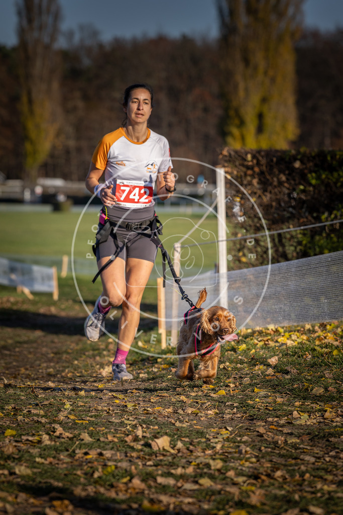 CaniXpix_DV3A2297 | Hundefotografie, Tierfotograf, Pfotenfotografie, Fotoshooting Hund, Hunde Portrait, Hundesport, Hundeportraits, Heideshooting, Hunde, Sportfotograf, Hundefotograf, Turnierhundsport, THS,  - Realisiert mit Pictrs.com
