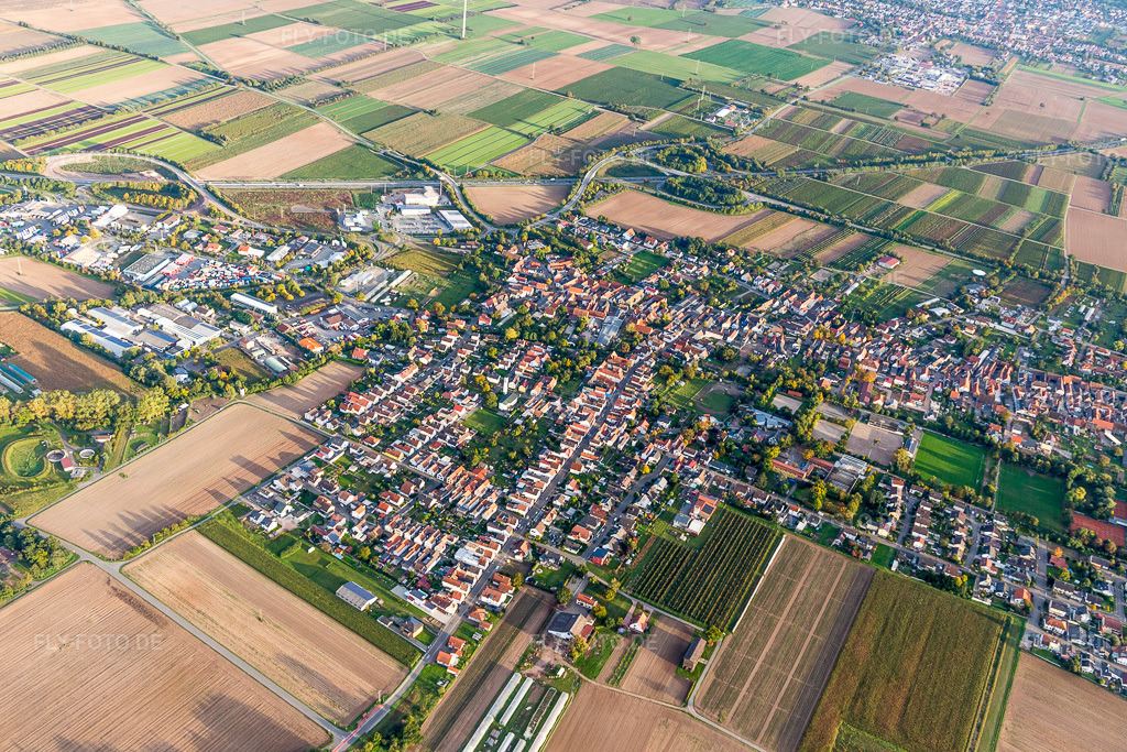 Luftbild: Ortsansicht der Straßen und Häuser der Wohngebiete in Schwegenheim im Bundesland Rheinland-Pfalz in Deutschland. Foto: IMG_103855.jpg vom 01.10.2017 durch Werner Riehm/FLY-FOTO.de