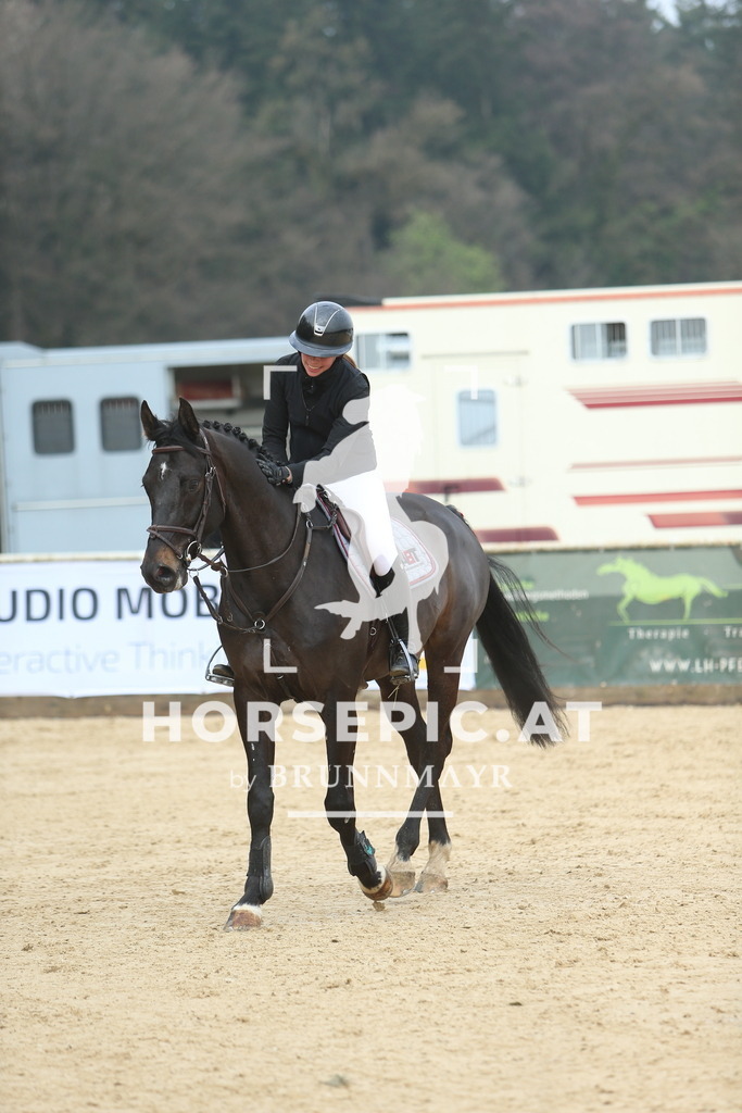 DL2Q8924 | Willkommen bei Brunnmayr - Design & Fotografie – Ihrem Spezialisten für Reitturniere und Pferdeveranstaltungen in Oberösterreich, Salzburg und Bayern! Seit über 17 Jahren sind wir leidenschaftlich dabei.