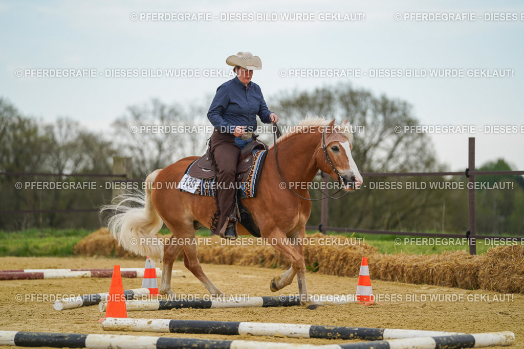 DSC02757 | Pferdegrafie