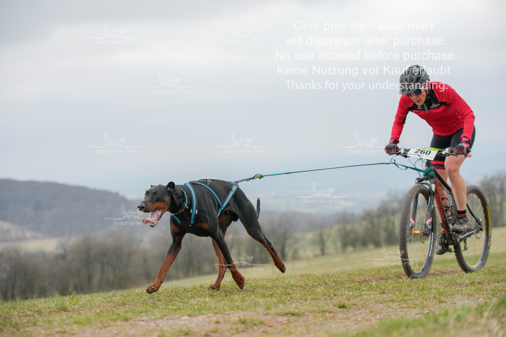 BikeSA-348 | stephaniefillaphotographie - Realisiert mit Pictrs.com