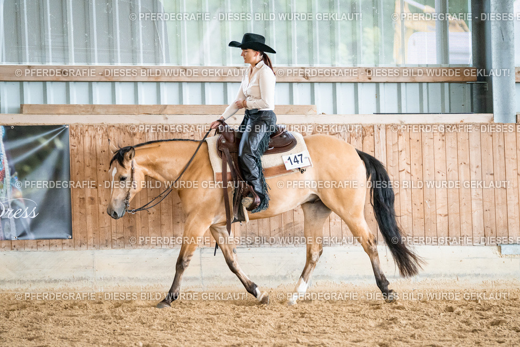 DSC00142 | Pferdegrafie