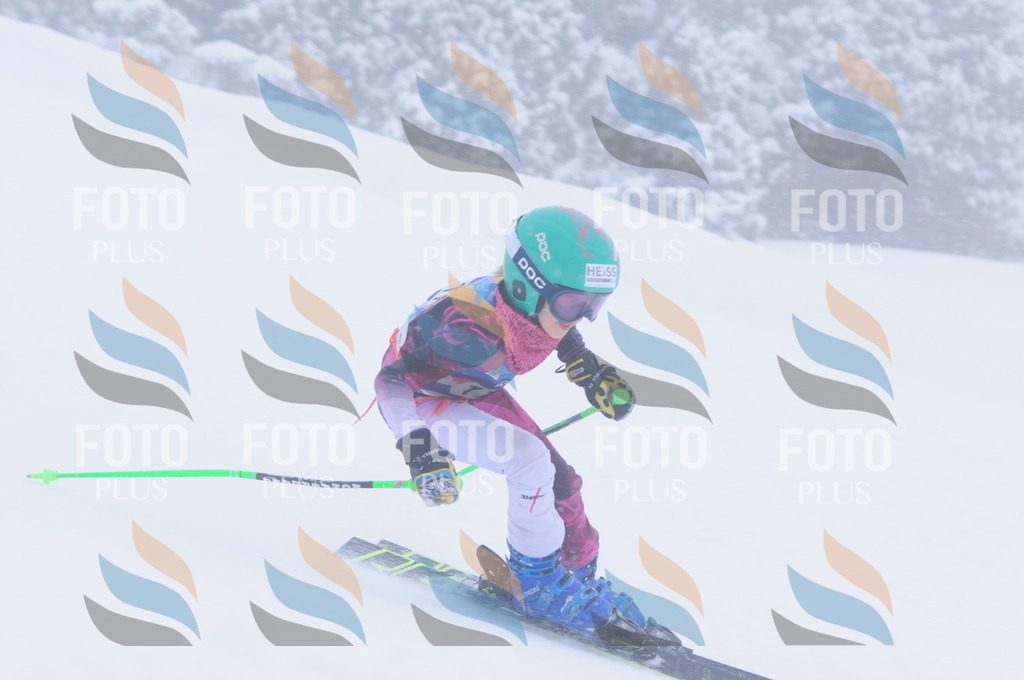 C2030 | holidayphoto