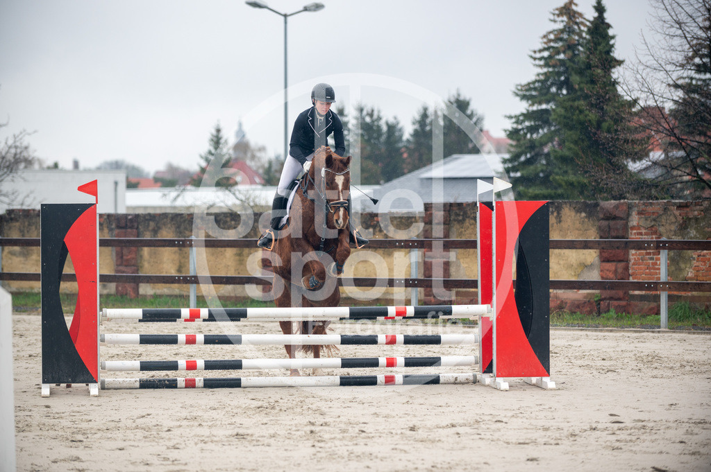 DSC_8497 | sattelsport - Realisiert mit Pictrs.com