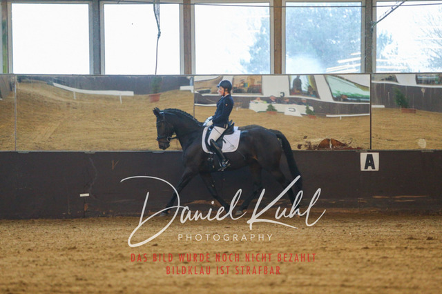 IMG_7462 | Turniersportfotografie; Pferdefotografie; Dressurfotografie