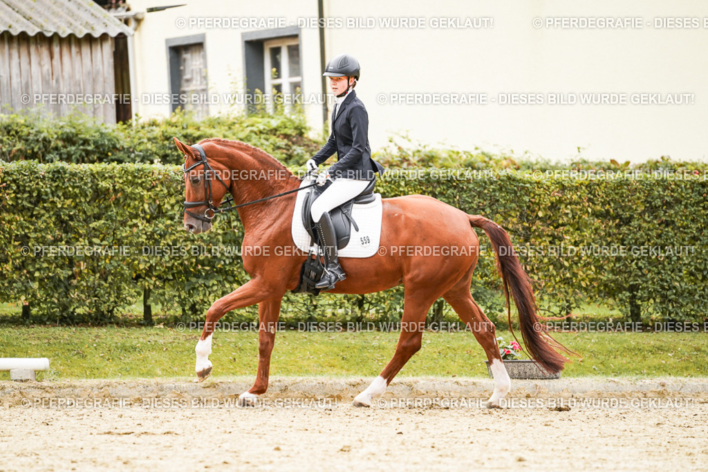 DSC07630 | Pferdegrafie