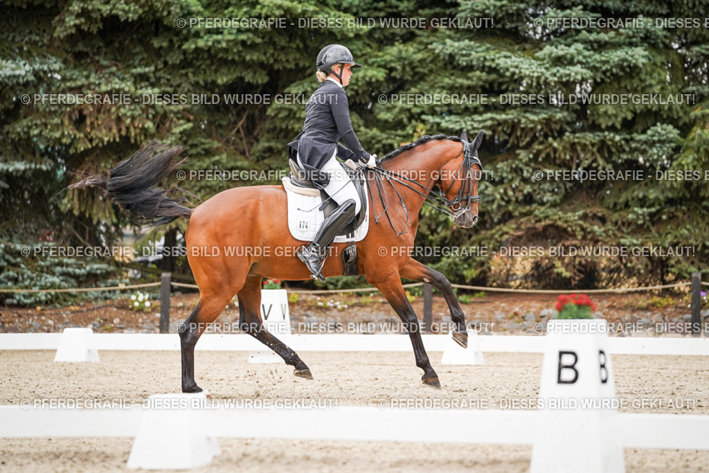 DSC07304 | Pferdegrafie