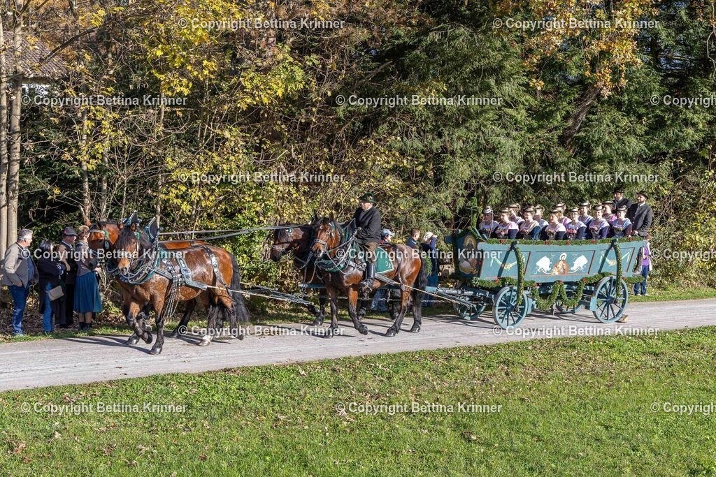 LBT24-381 | foto-bettina-krinner - Realisiert mit Pictrs.com