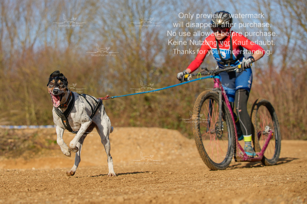 So_DVGBSP2025_Scooter (252 von 286) | stephaniefillaphotographie - Realisiert mit Pictrs.com