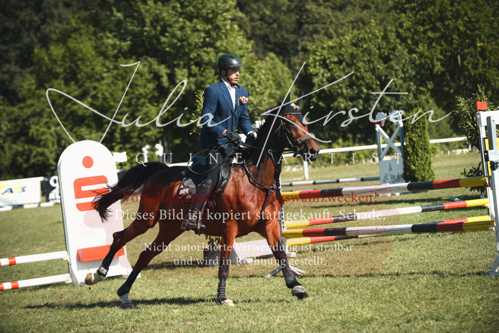 DSC_7706 | Pferde- und Turnierfotografie in Westsachsen. Pferdeportraits, Auftragszeichnungen und intuitive Kunst.