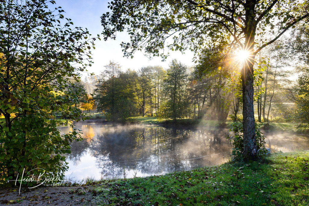 September | Bilder und Impressionen zu jeder Jahreszeit aus dem Sauerland im Naturpark Sauerland-Rothaargebirge - Realisiert mit Pictrs.com